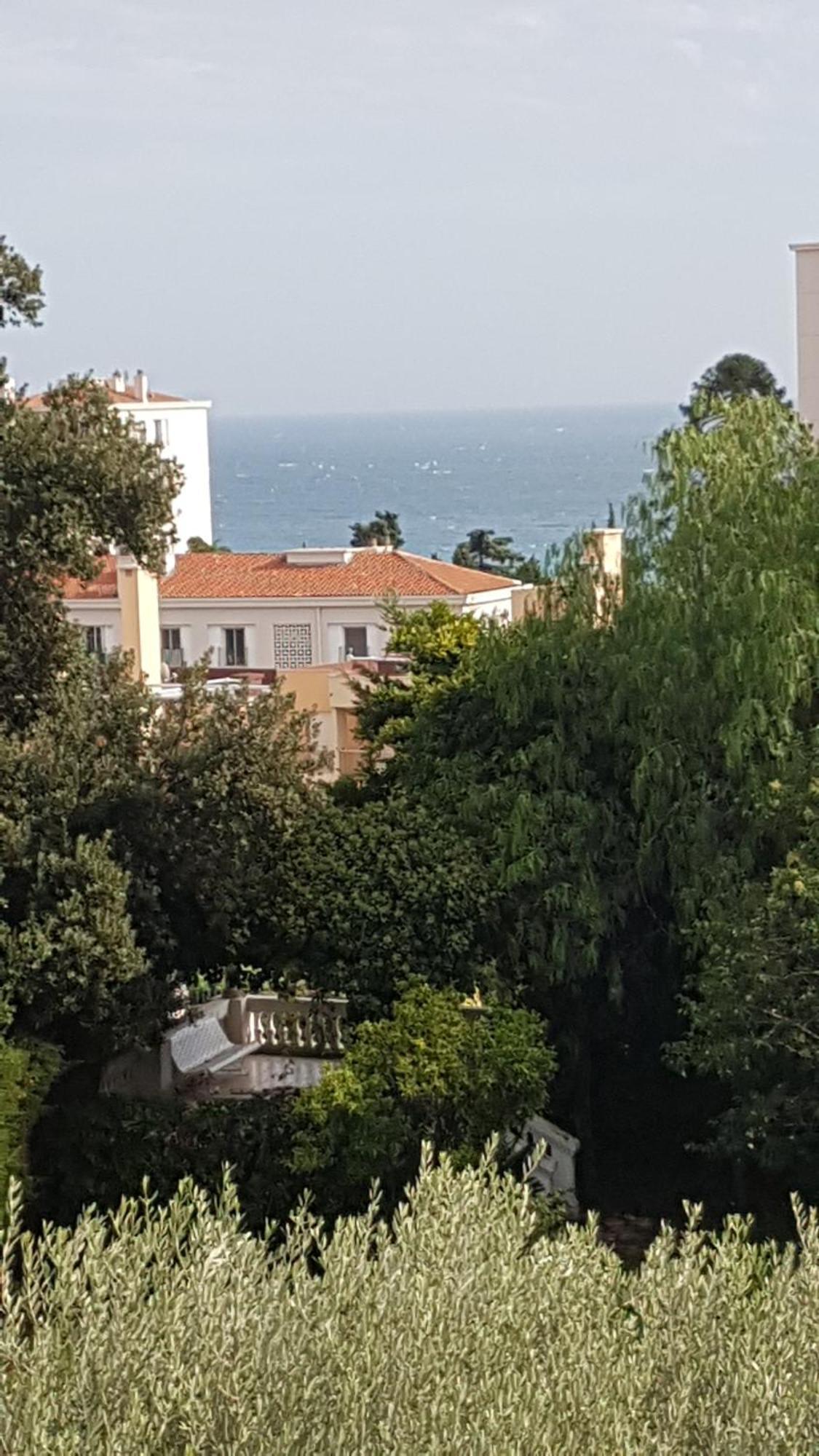 Les Palmiers A 700M De La Mer Nizza Camera foto