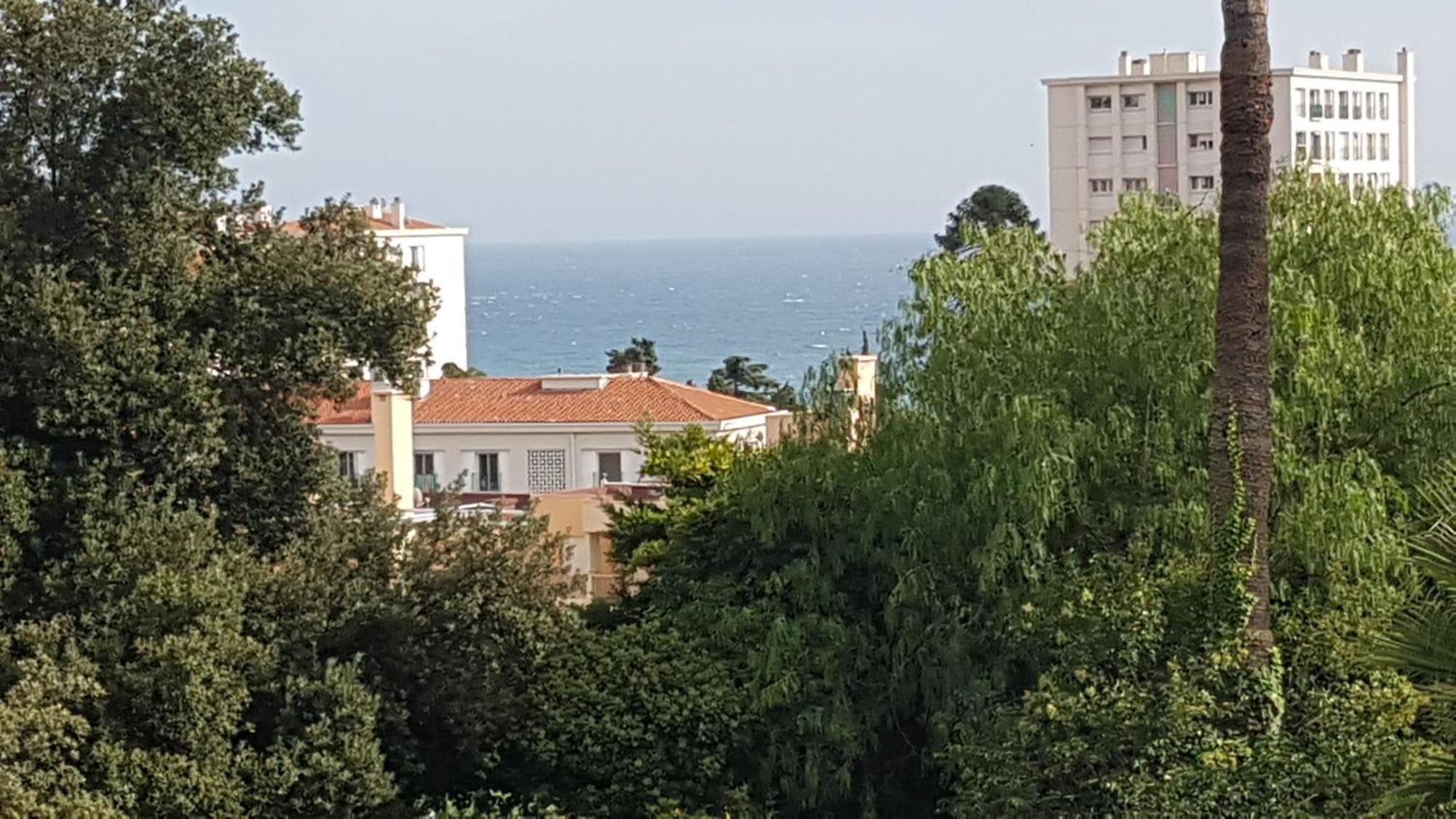 Les Palmiers A 700M De La Mer Nizza Camera foto