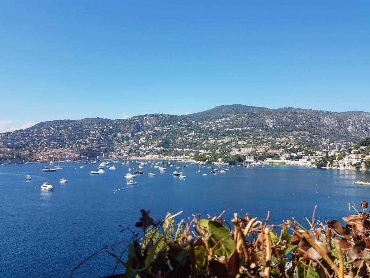 Les Palmiers A 700M De La Mer Nizza Esterno foto