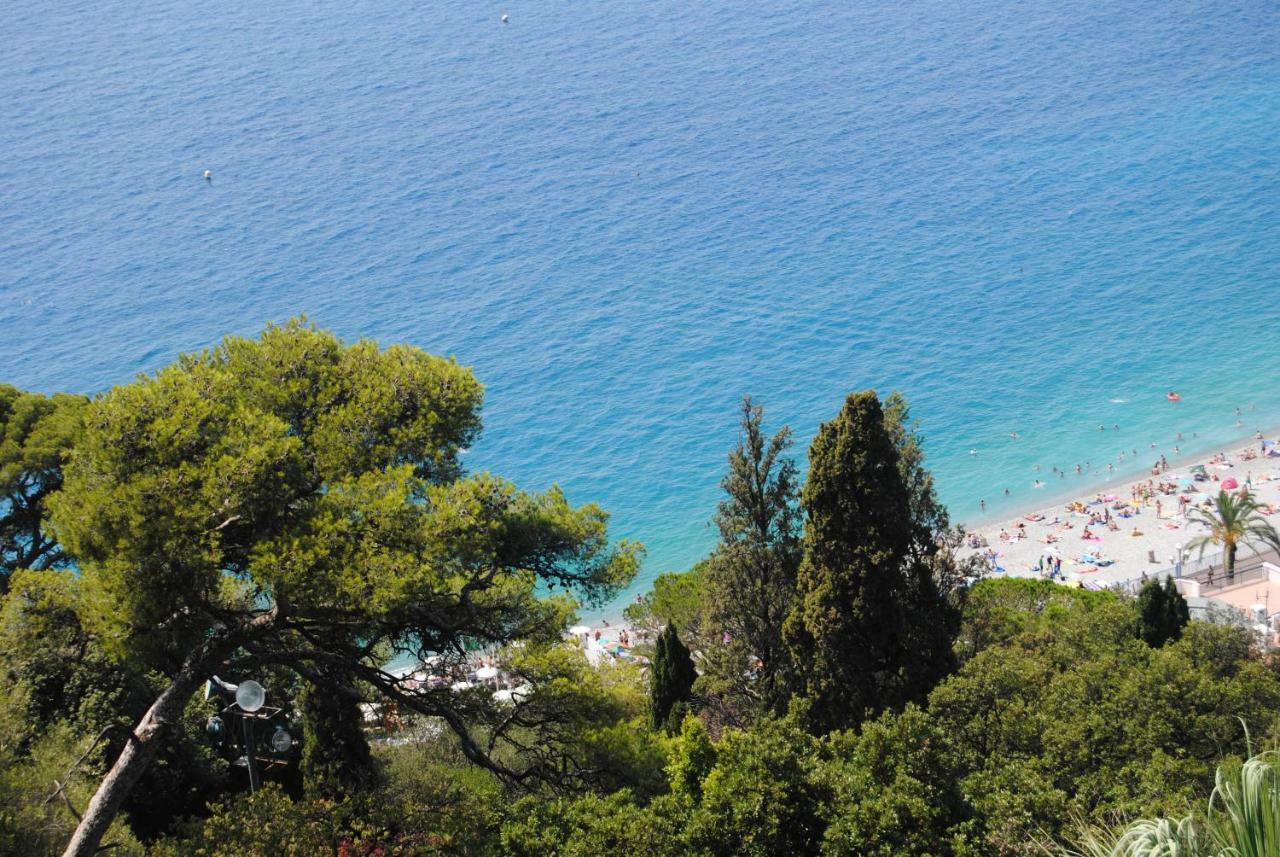 Les Palmiers A 700M De La Mer Nizza Esterno foto