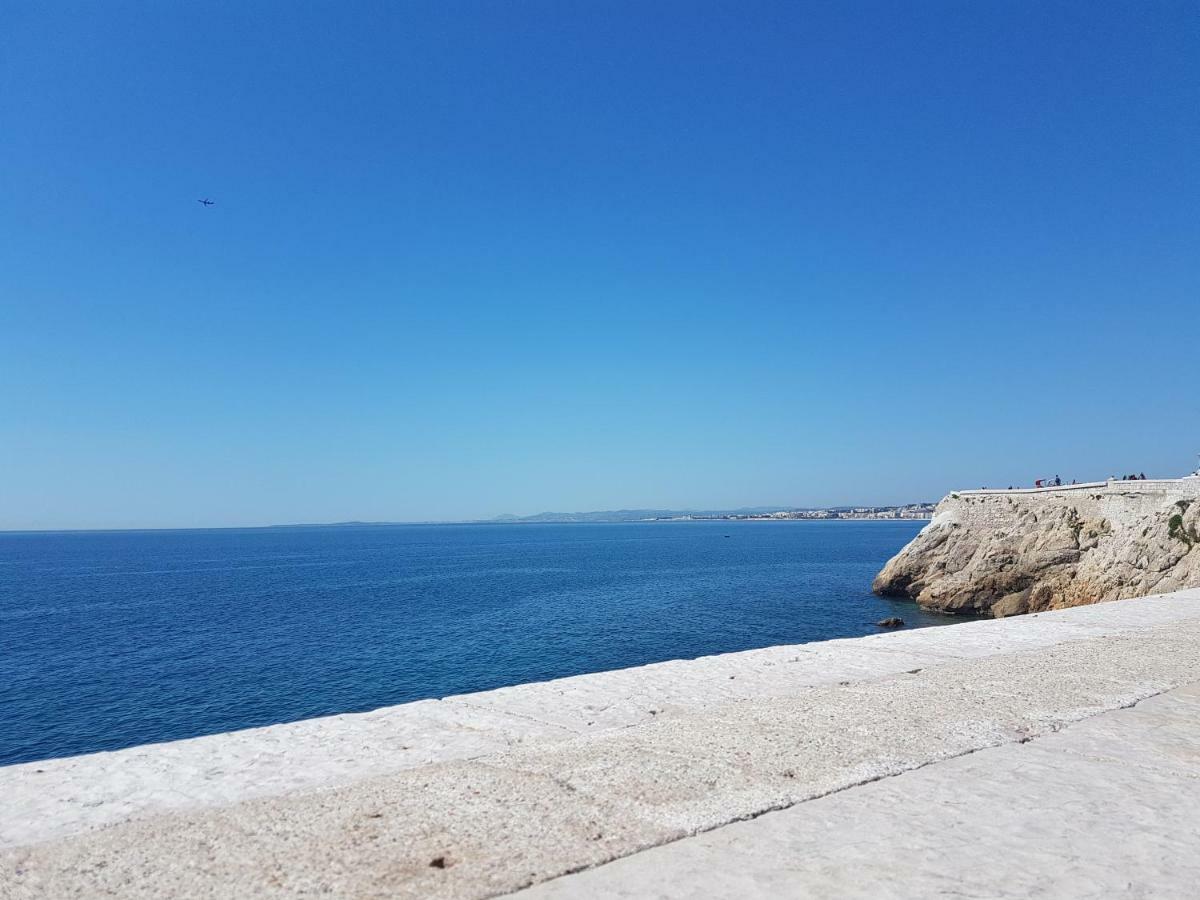 Les Palmiers A 700M De La Mer Nizza Esterno foto