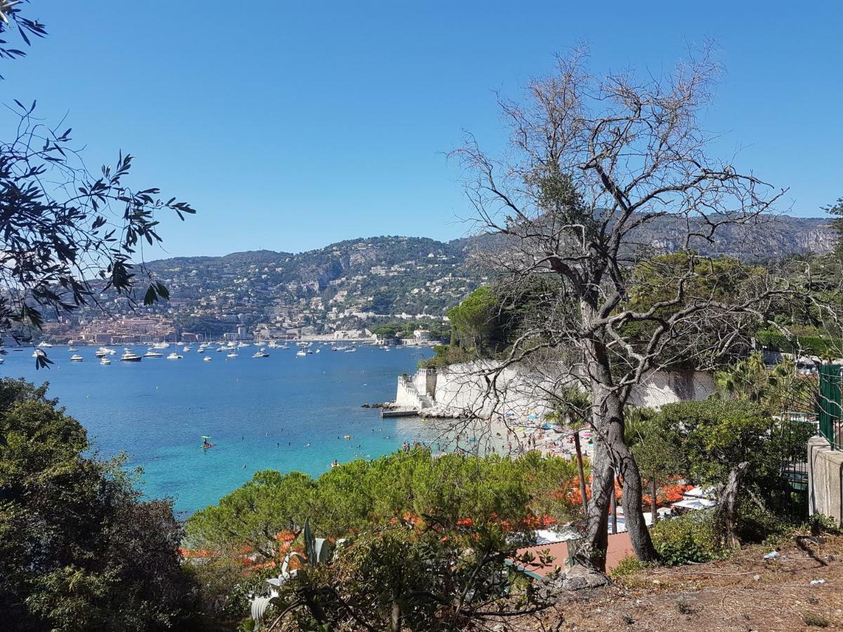 Les Palmiers A 700M De La Mer Nizza Esterno foto