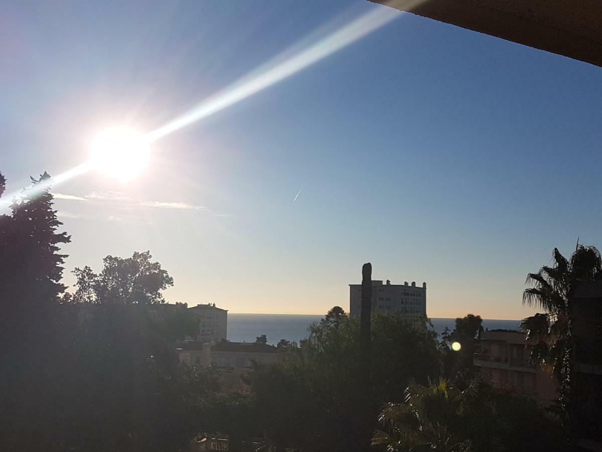 Les Palmiers A 700M De La Mer Nizza Esterno foto